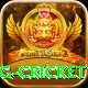 1st inning betting cricket Deluxe Pro v5.4.0