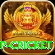 2022 world cup cricket Plus v5.3.0