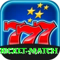 all cricket match Deluxe Edition v5.3.9