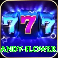 andy flower Plus Edition v2.6.1