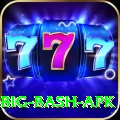 bbl big bash apk Master Pro v5.2.3