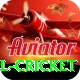 bbl cricket Deluxe v2.7.3