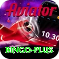 bingo Plus Edition v4.2.9
