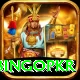 bingopkr Apps (Tools & Injectors) Pro v4.4.5