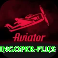 bingopkr VIP v5.3.7