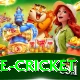 bpl live cricket Games (Casino & Earning) Premium v5.4.2
