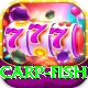 carp fish Pro Edition v2.4.4