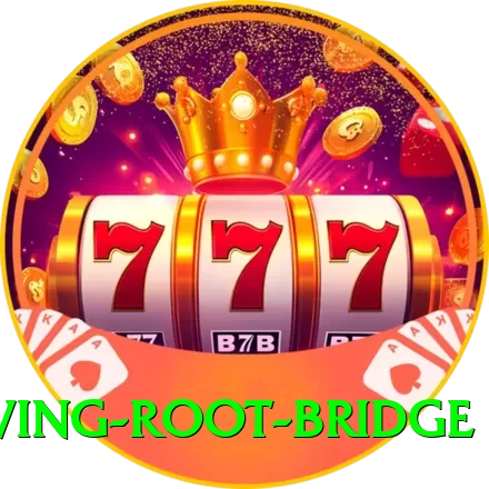 cherapunji living root bridge Games (Casino & Earning) Gold v5.2.2 - 2