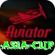 cricbuzz asia cup VIP v5.9.8