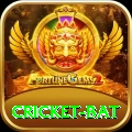 cricket bat Pro Max v5.7.8