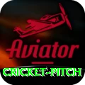 cricket pitch Games (Casino & Earning) Gold v4.9.0
