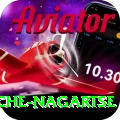dingboche nagartse Pro Edition v4.3.6