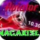 dingboche nagartse Pro Edition v4.3.6