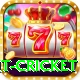early payout cricket Max v3.3.6