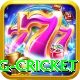 eng cricket VIP Pro v4.7.6