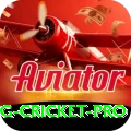eng cricket Prime Casino App