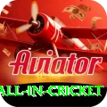 fastest ball in cricket Premium Edition v3.6.9
