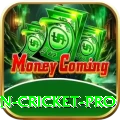 fastest ball in cricket King - Free Download