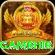 gautam gambhir Plus Pro v2.4.9