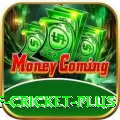 god of cricket Deluxe APK v1.6.6