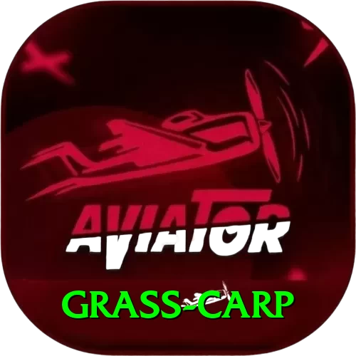 grass carp Turbo v4.1.8 - 2