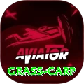 grass carp Turbo v4.1.8