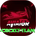 hong kong cricket team Pro Edition v5.6.9