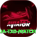 india australia t20 match Deluxe Edition v2.4.0