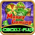 india bangladesh cricket - Deluxe v1.9.2