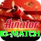 india new zealand match Premium Edition v3.9.4