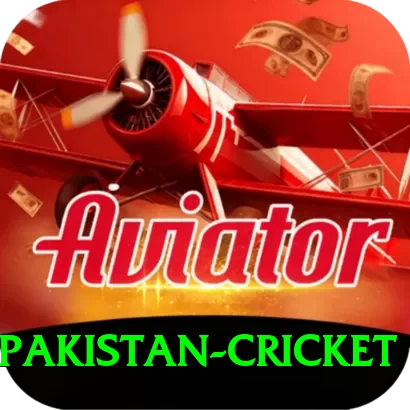 india pakistan cricket Pro Max v1.1.4 - 2