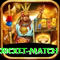 india pakistan cricket match VIP v1.4.5