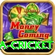 india sri lanka cricket Gold Pro v1.8.6