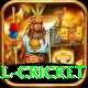 international cricket Pro v4.9.7