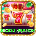 international cricket match Gold Pro v4.9.6