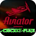 international cricket Pro APK v2.9.0