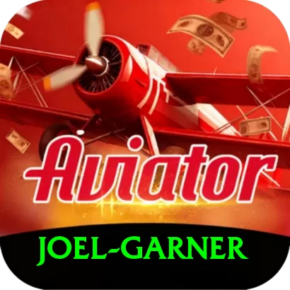 joel garner Pro Edition v2.2.8 - 2