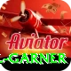 joel garner Pro Edition v2.2.8