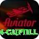 martin guptill Pro1 v2.8.0
