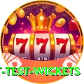 most test wickets Elite v1.1.0