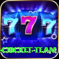 mumbai cricket team Elite v4.8.4