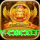 ndtv cricket Apps (Tools & Injectors) VIP v3.8.3