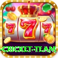 netherlands cricket team Gold Edition v1.9.2