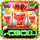 online cricket Apps (Tools & Injectors) Master v4.5.3