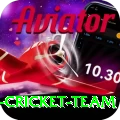pakistan women cricket team Apps (Tools & Injectors) Plus v5.9.4