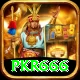 pkr666 Master Pro v5.0.9