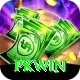 PKWin Gold Pro vv1.6.0