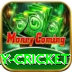 play cricket Pro1 v1.4.3