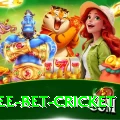 risk free bet cricket Games (Casino & Earning) Ultimate v5.3.9
