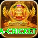 sa cricket Turbo Pro v5.2.2